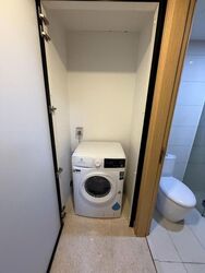 Eight Riversuites (D12), Condominium #621496311